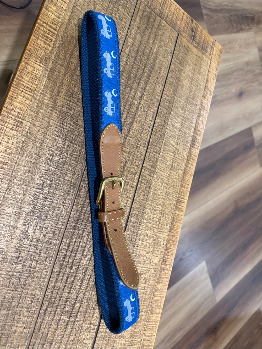 Simply Southern Blue Woven Belt with Brown Leather Trim